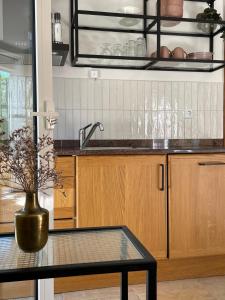 een keuken met een wastafel en een vaas op een tafel bij Villa Lantana in Vir