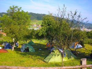 Gambar di galeri bagi Camp Panorama di Guča