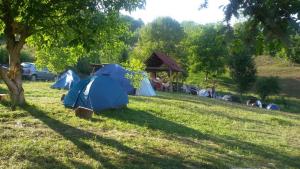 eine Gruppe von Zelten, die im Gras unter einem Baum sitzen in der Unterkunft Camp Panorama in Guča