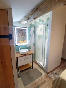 y baño con ducha y lavamanos. en Maisonnette en Luberon, en Cadenet