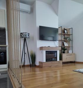 Televiisor ja/või meelelahutuskeskus majutusasutuses Apartment Secret Nest