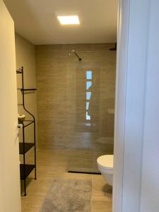 a bathroom with a shower and a toilet at Apartment Centar in Buljarica +32 photos