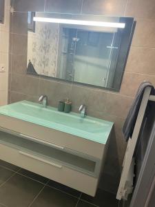 uma casa de banho com um lavatório verde e um espelho em T3 refait à neuf em Fleurance