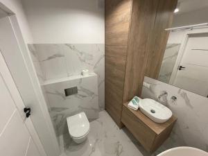 Kúpeľňa v ubytovaní HIGH STANDARD APARTMENT GDYNIA + 9 fotografií