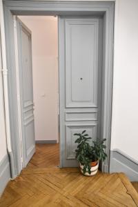roślina siedząca na podłodze przed drzwiami w obiekcie Les Matelots Rouen Centre by MyFrenchPAT w Rouen