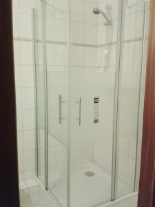 a shower with a glass door in a bathroom at Ferienwohnung Plexnies in Kellenhusen