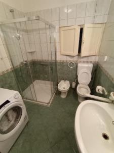 Kúpeľňa v ubytovaní Damjan Rooms