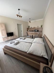 Postel nebo postele na pokoji v ubytování Alina apartmanok