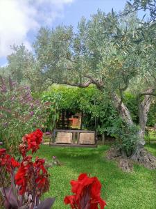 Gallery image of Golden Camp in Falerna