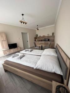 Postel nebo postele na pokoji v ubytování Alina apartmanok