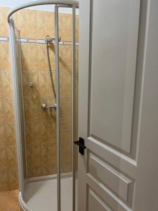 Koupelna v ubytování Alina apartmanok
