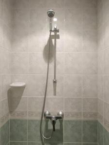 a shower in a bathroom with a toilet at Classic House in Argentat