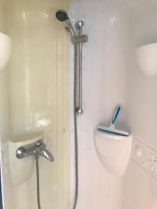 a shower in a bathroom next to a toilet at Mobil home Cristal in Biville-sur-Mer