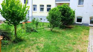 a yard with two trees in front of a building at Budget rooms in Halle with shared bathroom, Free WiFi, Netflix & iPad in Halle an der Saale