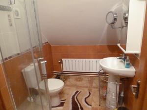 プーシキンにあるAleksandrovskaya One Holiday Homeのバスルーム(シャワー、トイレ、シンク付)