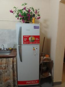 a refrigerator with a potted plant on top of it at Amancay in Payogasta