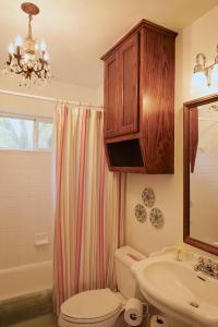 a bathroom with a toilet and a sink and a mirror at Onion Creek Cottage in Austin