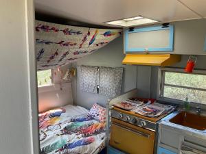 um pequeno quarto com uma cama e um lavatório em Indian Canyon Ranch em Verdure