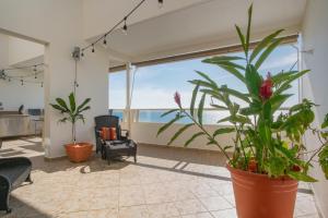 Balkón nebo terasa v ubytování Beachfront Penthouse with Ocean and Sunset Views at Pelican Reef #703