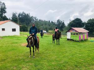 Jazda na koni pri penzióne alebo okolí