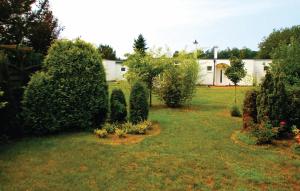 a garden with bushes and a building in the background at Amazing Home In Diedrichshagen With 1 Bedrooms in Diedrichshagen
