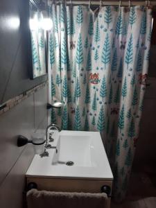 Un baño con lavabo y cortina de ducha. en El Nevado Casa de Campo 1, en San Rafael 10 fotos más