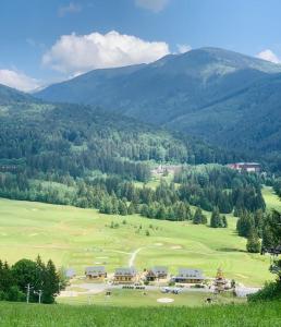 Příroda nedaleko apartmánu