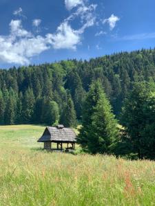 Příroda nedaleko apartmánu