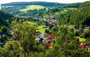 Dammbach的住宿－Geishöhe Landgasthof Rose Dammbach，山谷中的一个小镇,有树木和房屋