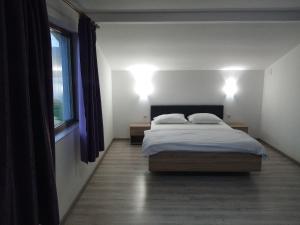 - une chambre avec un lit et deux lumières sur le mur dans l'établissement Villa Rustica, à Gornea