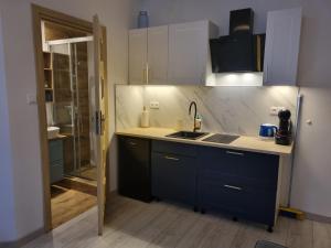 a kitchen with blue cabinets and a sink and a shower at Matik Apartamenty i pokoje in Karwia +157 photos