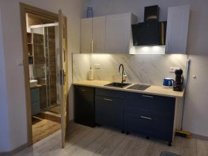 a kitchen with blue cabinets and a sink and a shower at Matik Pokoje Goscinne in Karwia