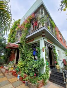 Una casa con plantas a un lado. en Mango Tree Homestay, en Hampi