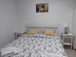 Postel nebo postele na pokoji v ubytování Vila de pe Lac Amara