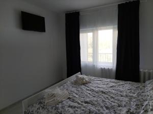 Postel nebo postele na pokoji v ubytování Vila de pe Lac Amara