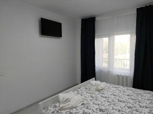 Postel nebo postele na pokoji v ubytování Vila de pe Lac Amara
