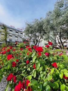um campo de flores vermelhas em frente a um edifício em Hotel Villa Augusta em Grado