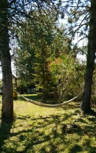 a hammock hanging between two trees in a park at La Maison Verte in Tulette