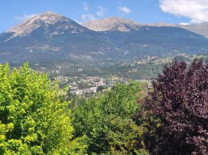 a group of trees with mountains in the background at Appartement Mont Guillaume in Embrun