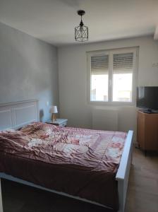 a bedroom with a large bed and a television at Appartement Mont Guillaume in Embrun +2 photos