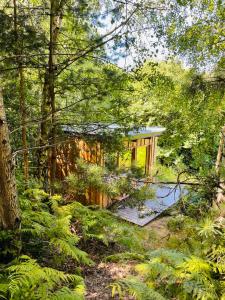 a house in the middle of a forest at Boutique Glamping Divja DiVine in Zgornja Korena