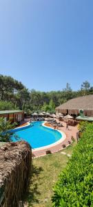 a swimming pool with tables and umbrellas in a resort at Olympos Village Relaxury Hotel in Olympos