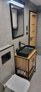 a bathroom with a sink and a toilet and a mirror at Level780 in Koszarawa