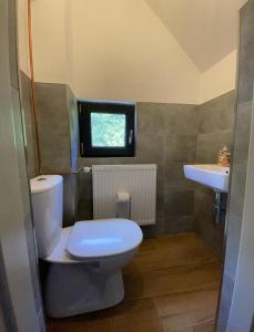 a small bathroom with a toilet and a sink at Chalet Gamma in Jáchymov
