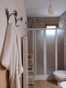 bagno con doccia e servizi igienici. di B&B Casale Giovannozzi ad Ascoli Piceno