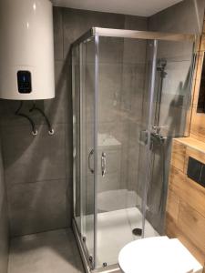 eine Dusche mit Glastür im Badezimmer in der Unterkunft DOMIKO in Mikoszewo + 113 Fotos
