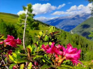 Fotografie z fotogalerie ubytování Grenerhof v destinaci Hopfgarten in Defereggen