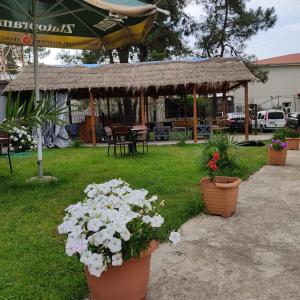 un patio con macetas y cenador en David Palace Hotel Ureki en Ureki