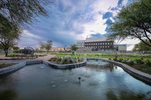 a duck swimming in a pond in a park at The Grand Aria Hotel and Conference Centre in Gaborone