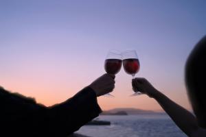 dos personas están sosteniendo copas de vino tinto en Seaside Villa KAMANO, en Aji